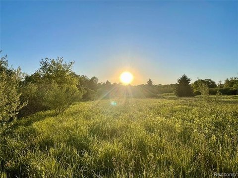 LAND - Arcadia Twp, MI