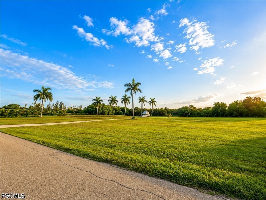 Picture 27