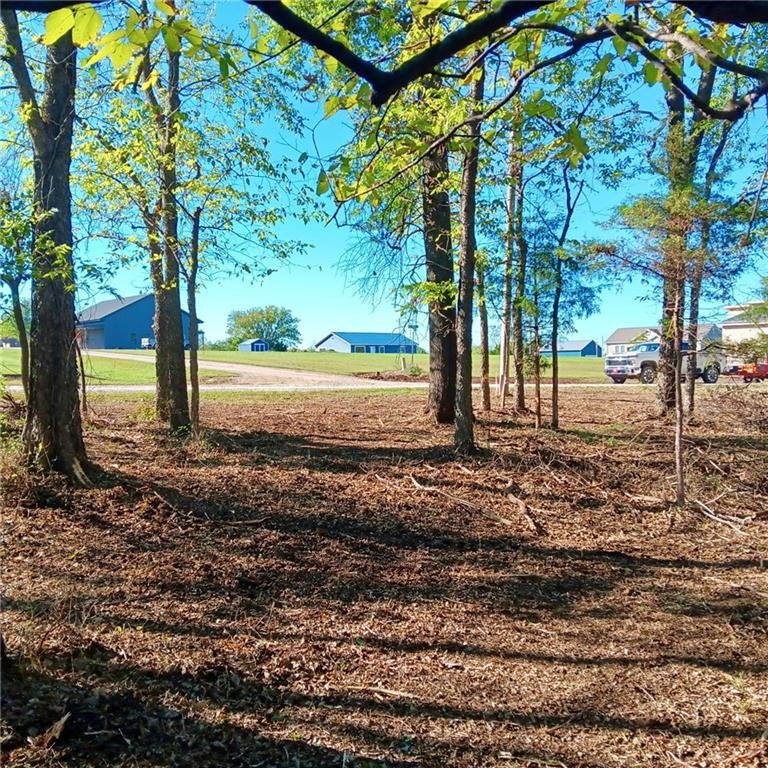 Picture 4