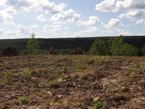 Land, Evensville, TN