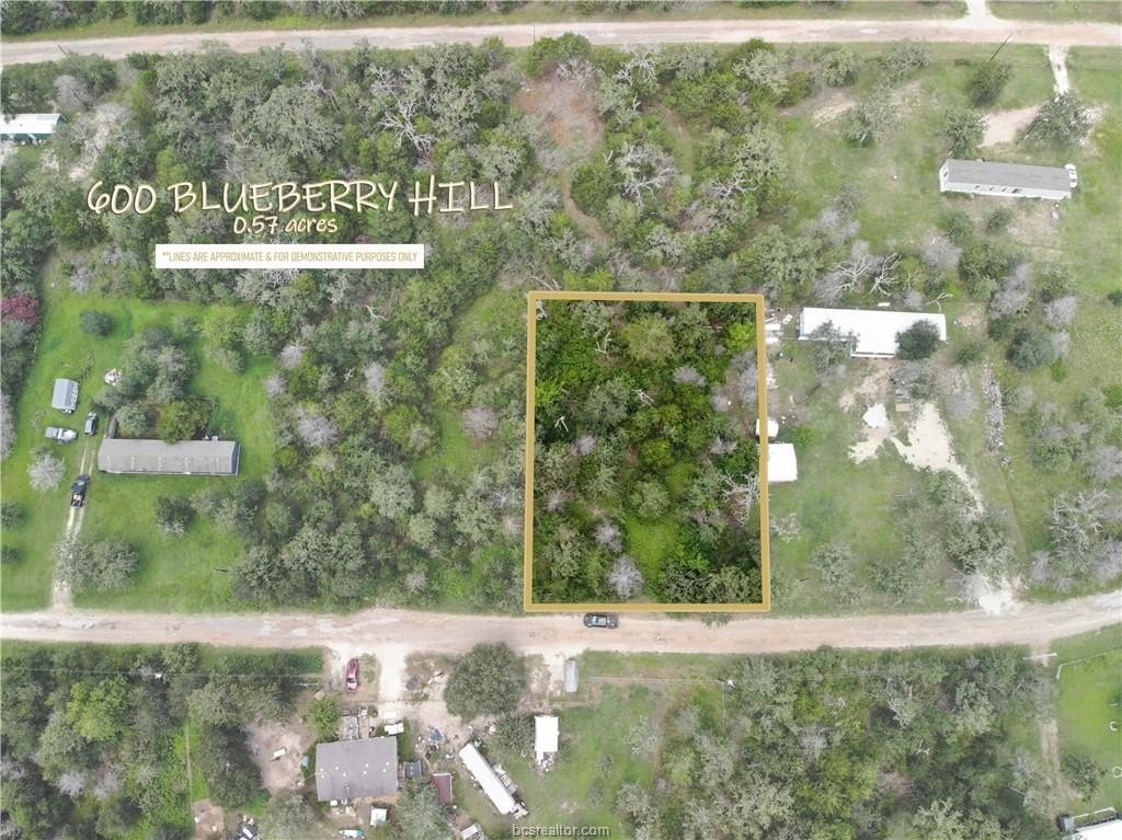 Wooded Lot Near Birch Creek