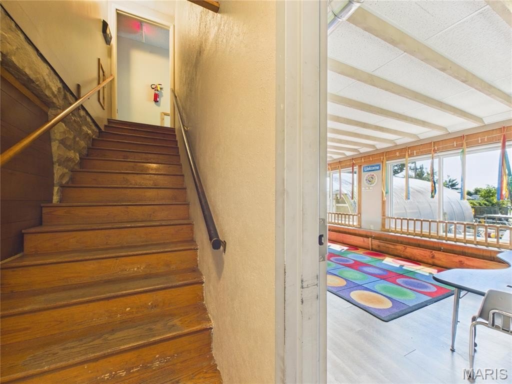 Picture 37
