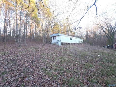 Unrestricted Lot in Falkville, AL