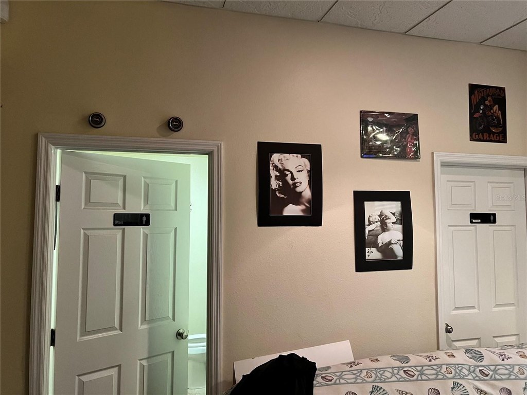 Picture 11