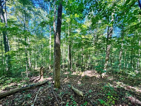 Wilder, Tennessee Land for Sale