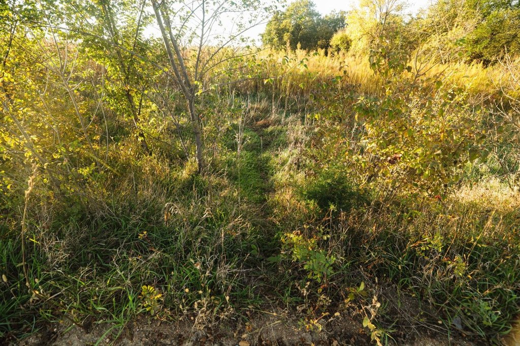 Picture 21