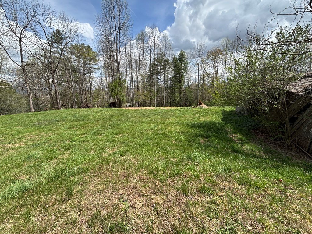 Picture 16