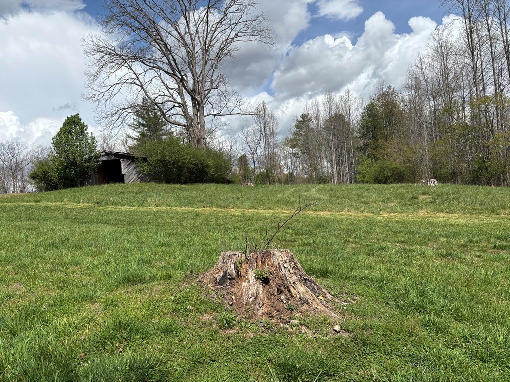 Picture 12