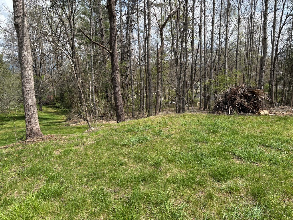 Picture 17