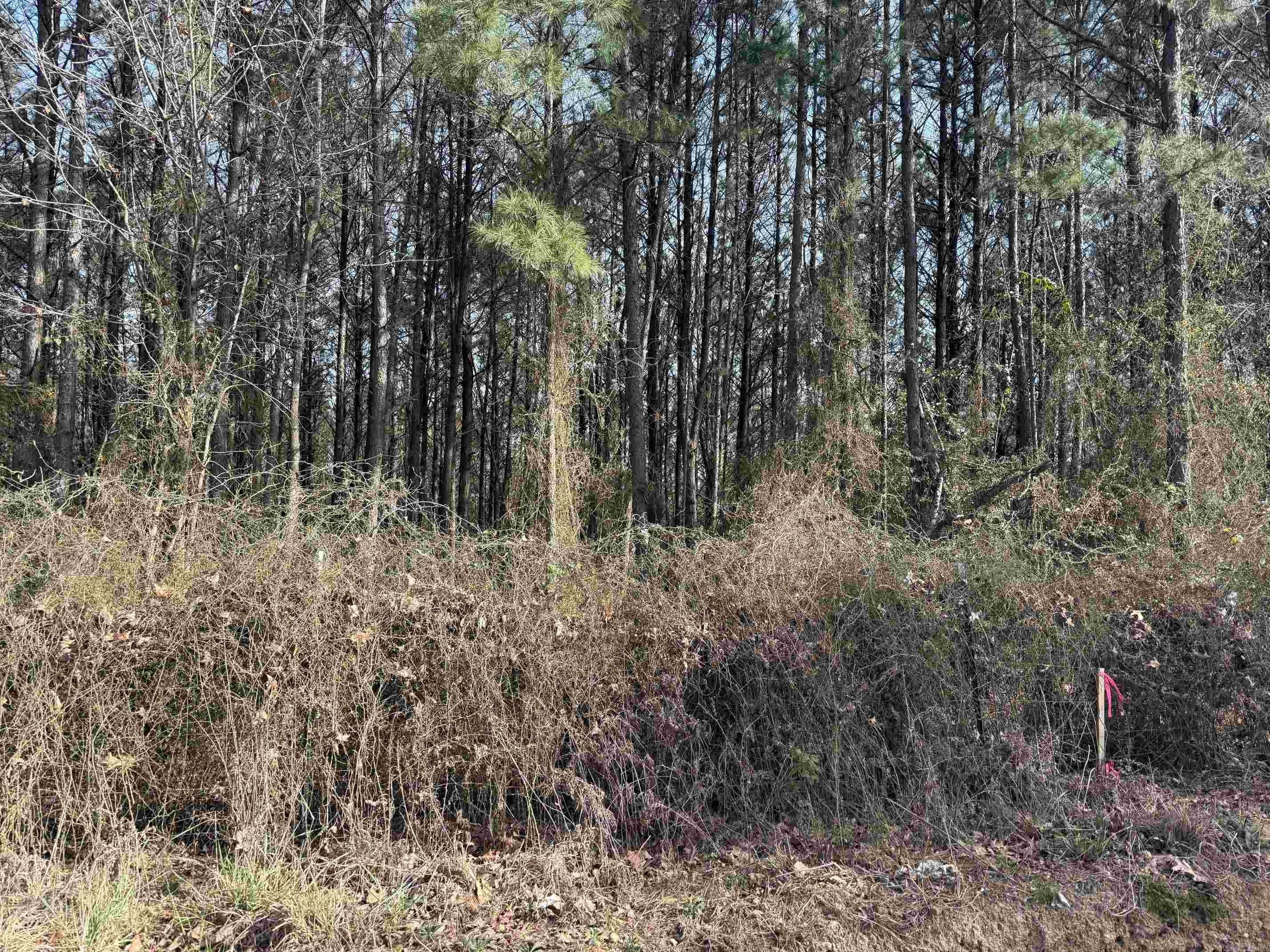 Land Near Cossatot River Park