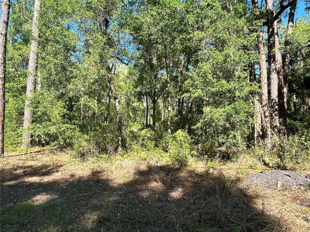 Picture 4
