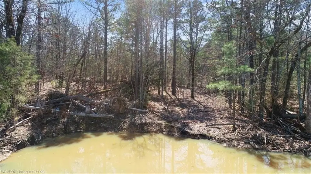 Picture 14
