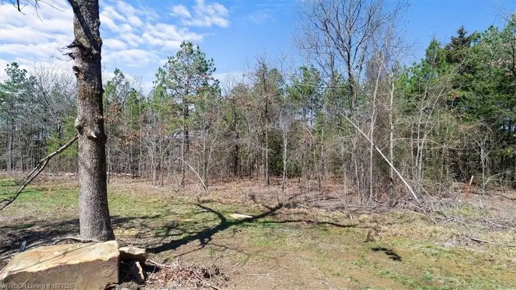 Picture 11