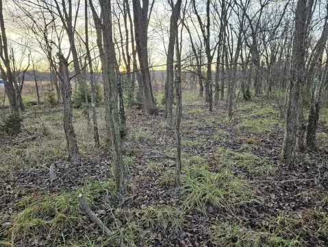 Strang, OK Vacant Land