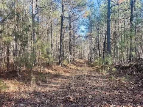 27 Acres of Versatile Land