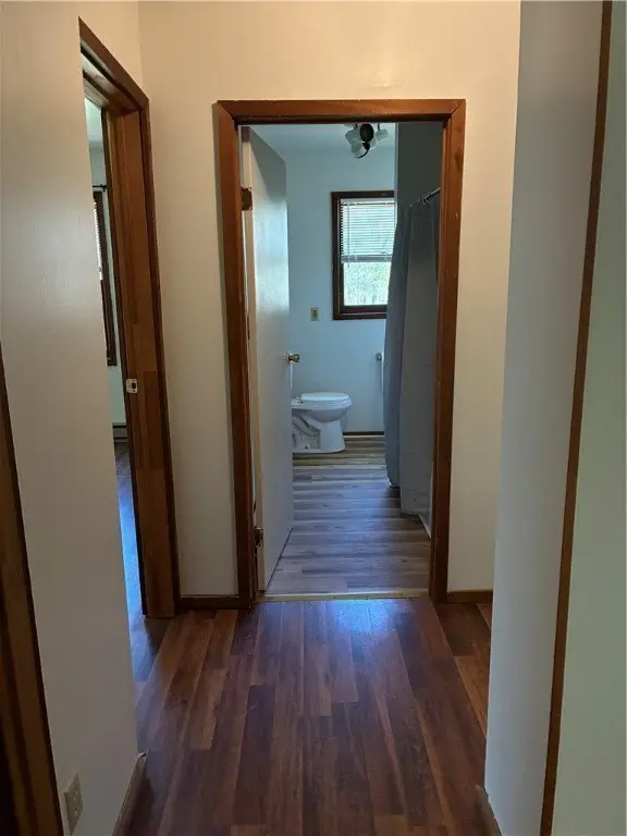 Picture 36