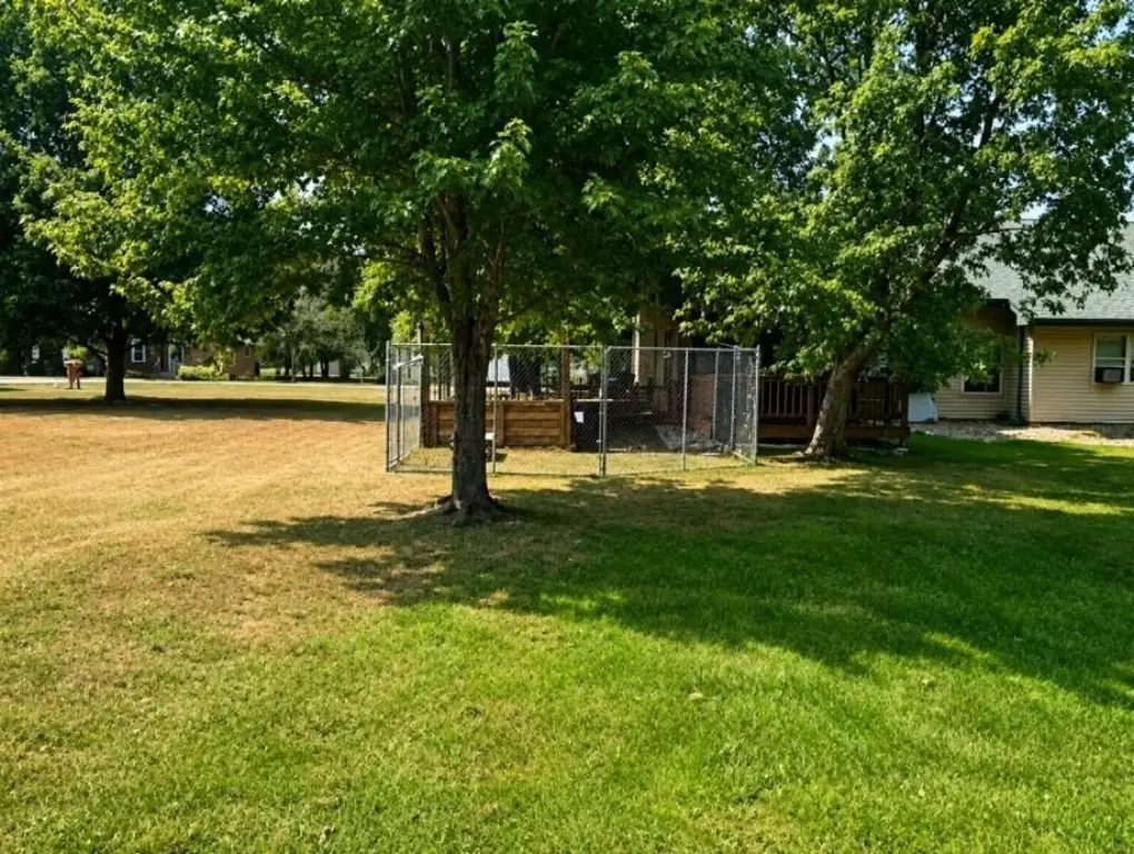 Picture 20
