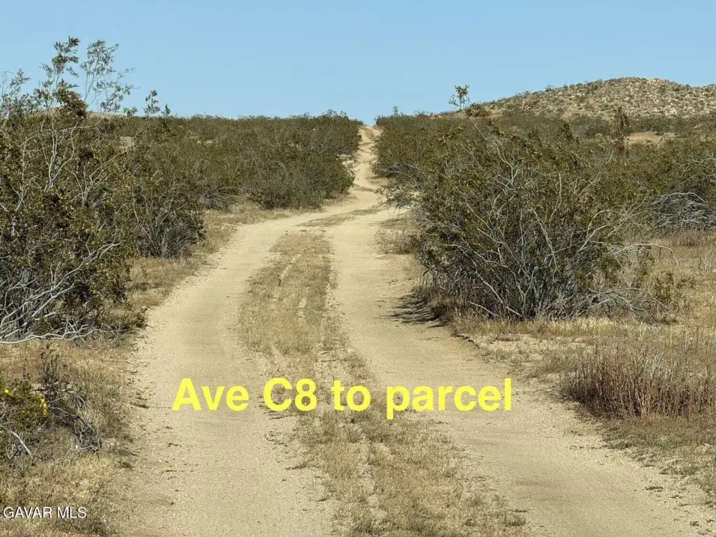 Picture 5