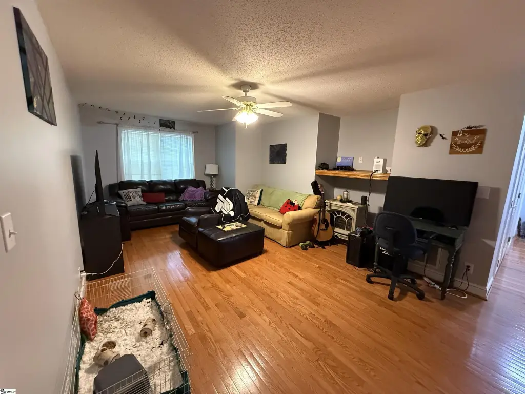Picture 15