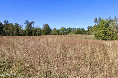 Decaturville Land with Road Frontage