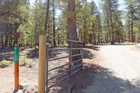 Improved Land Near Buena Vista