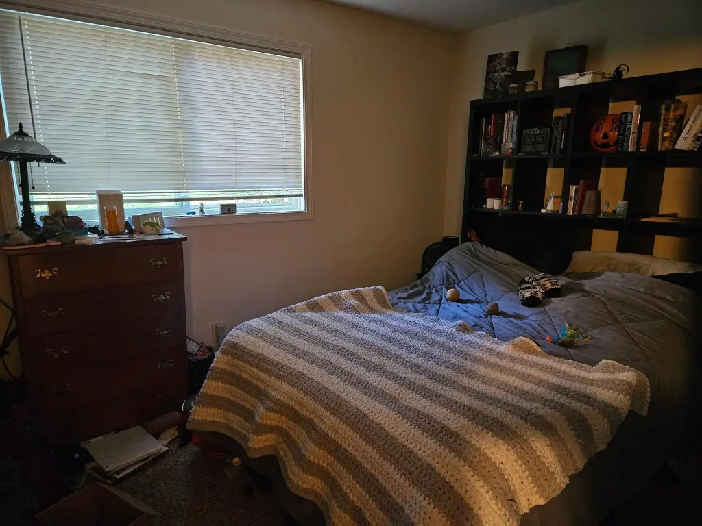 Picture 6