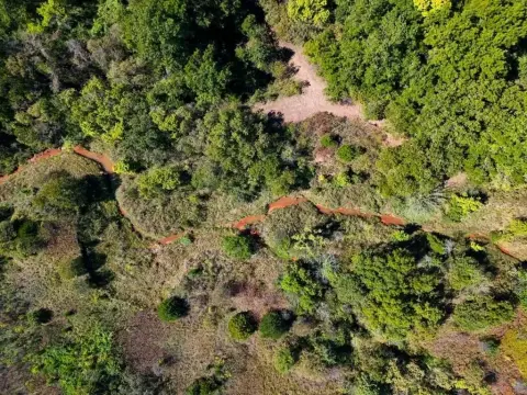 Secluded Timbered 80-Acre Tract