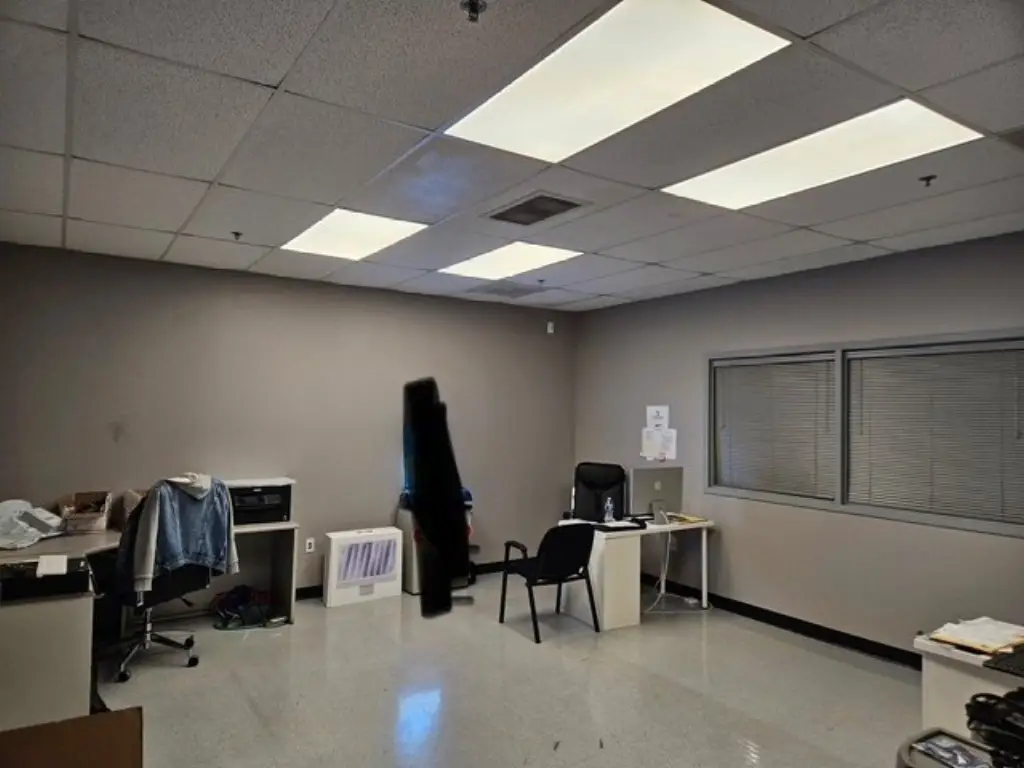 Picture 6