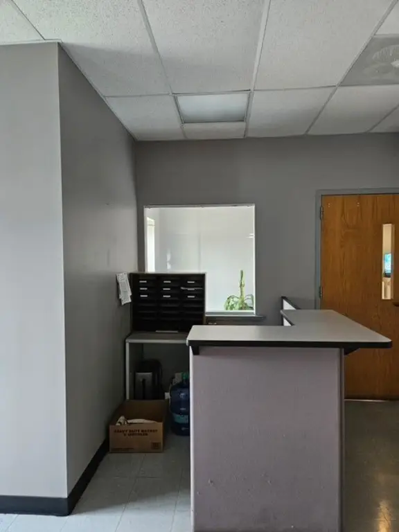 Picture 5