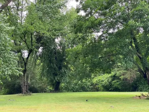 Lottsburg Land Ready to Develop