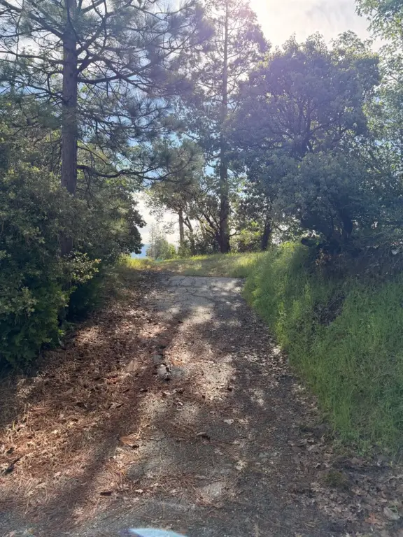 Picture 7