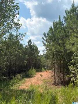 Residential Land Near Lake Mitchell