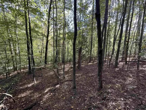 Unrestricted Land Near Spartanburg