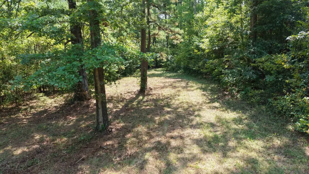 Picture 18