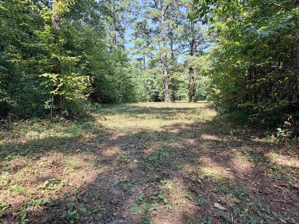Picture 23