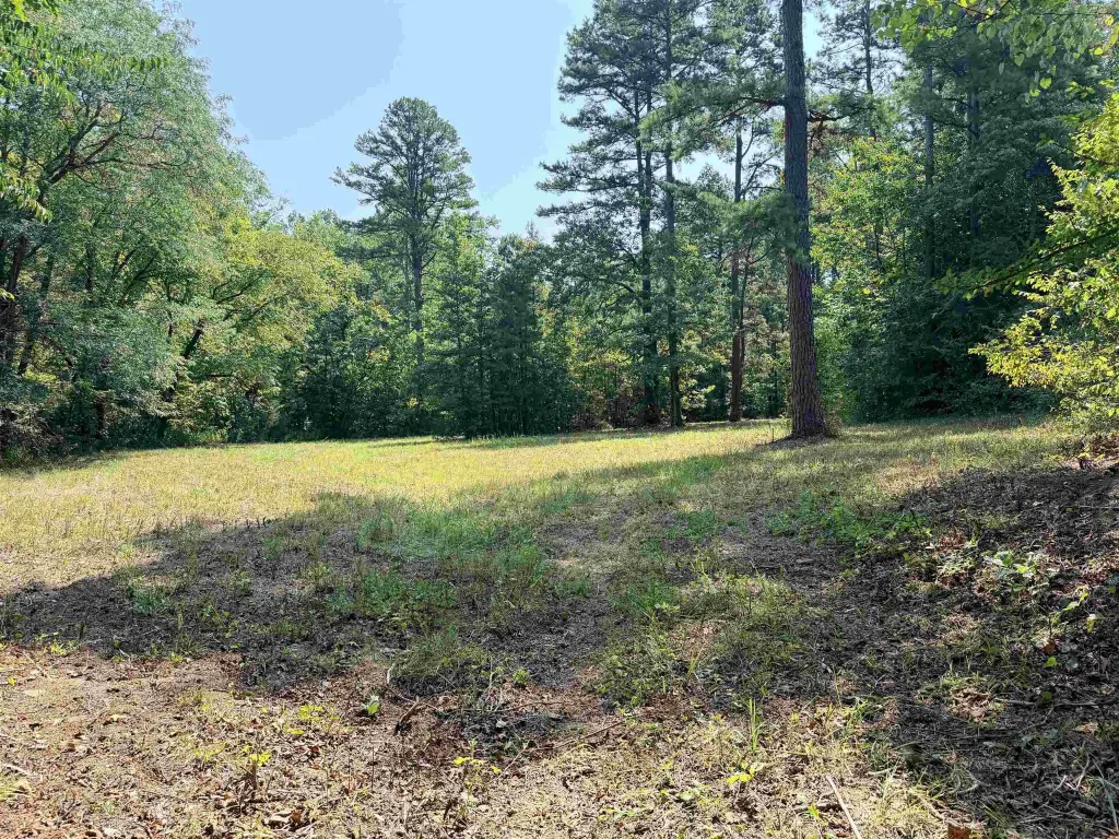 Picture 19