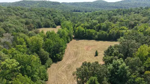Ozark Hunting Land