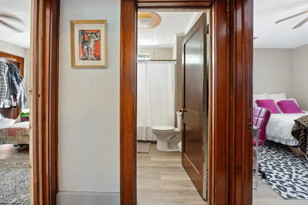 Picture 15