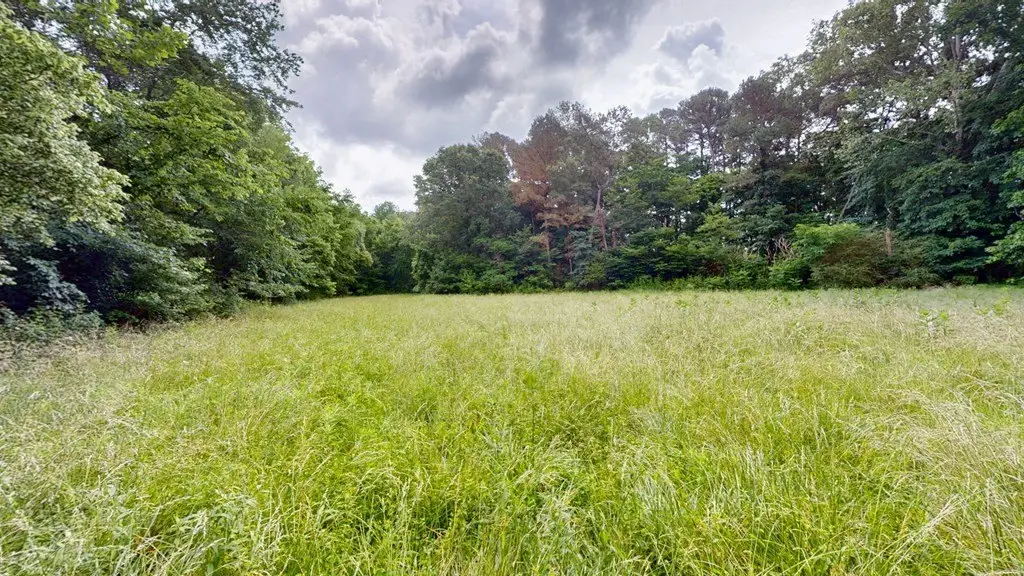 Picture 20
