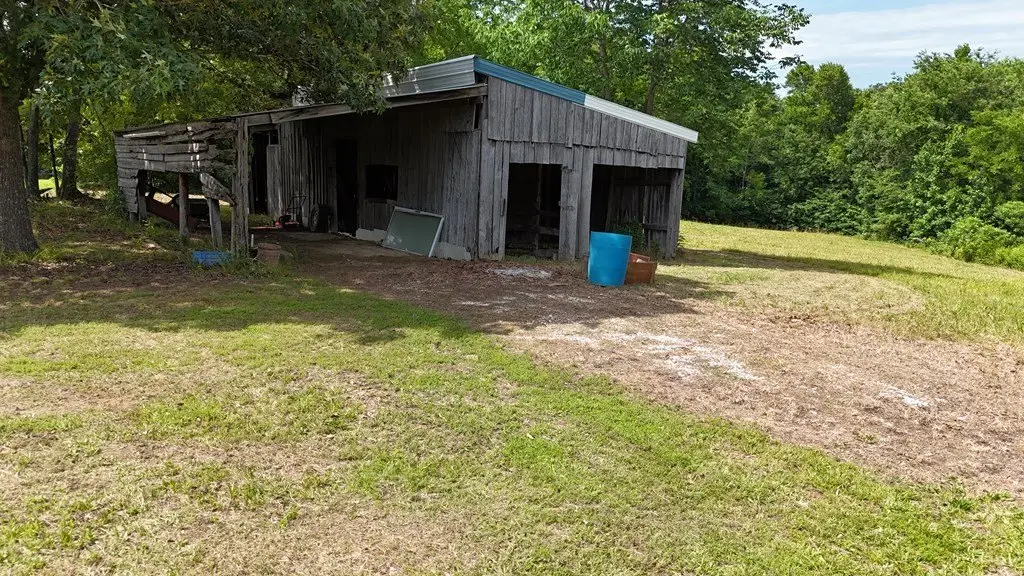 Picture 5
