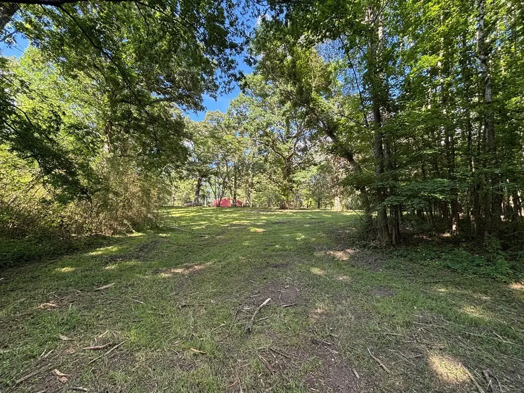 Picture 20