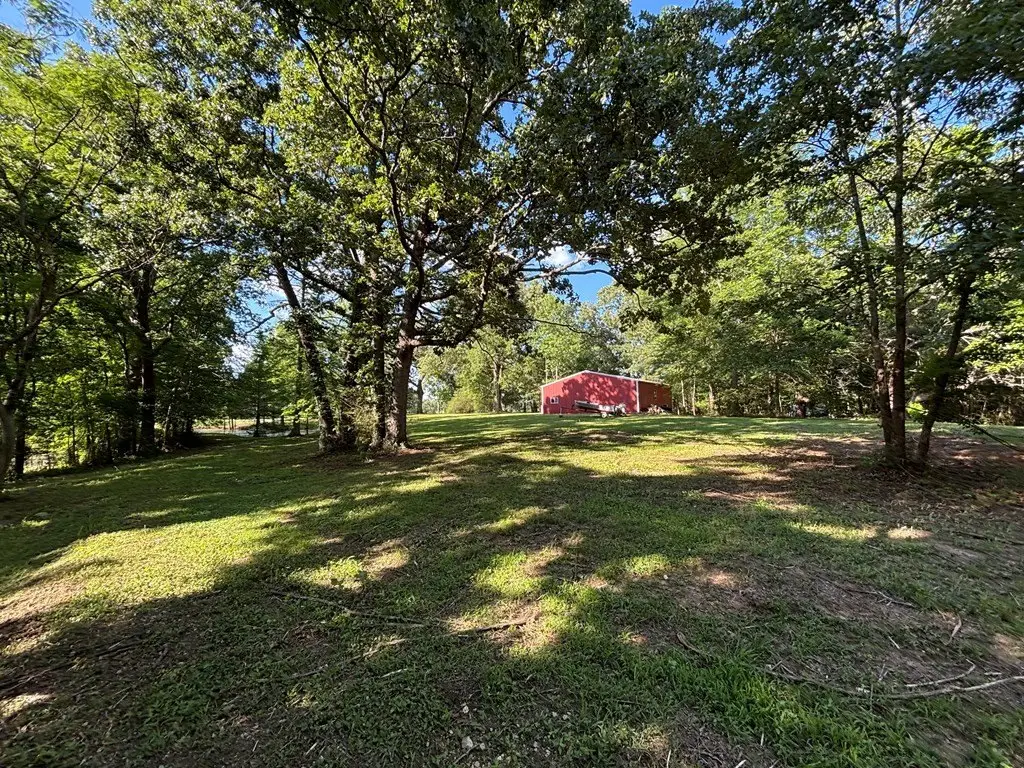 Picture 23