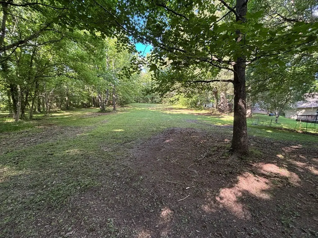 Picture 21