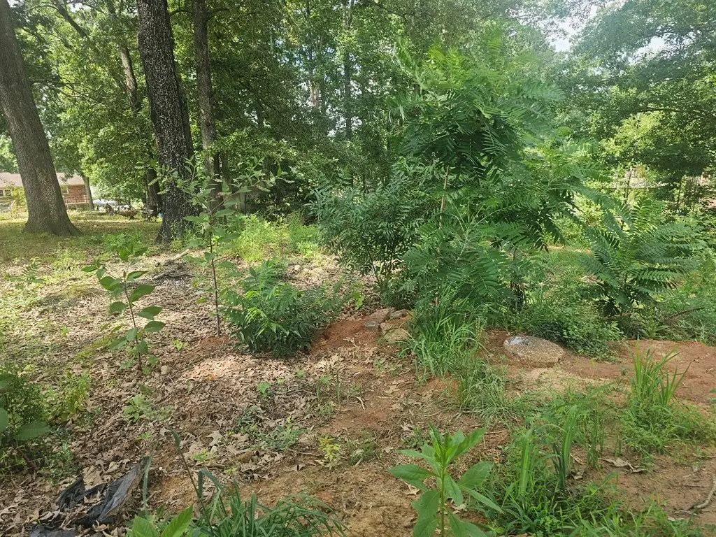Picture 6