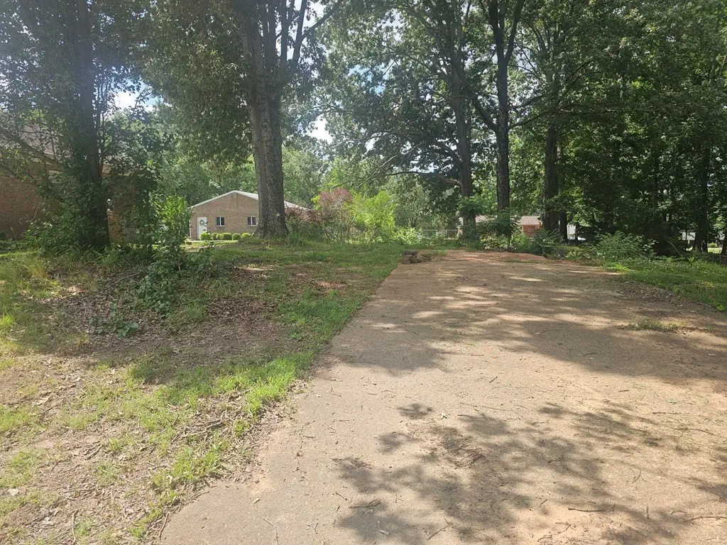 Picture 4