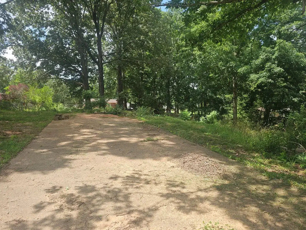 Picture 3