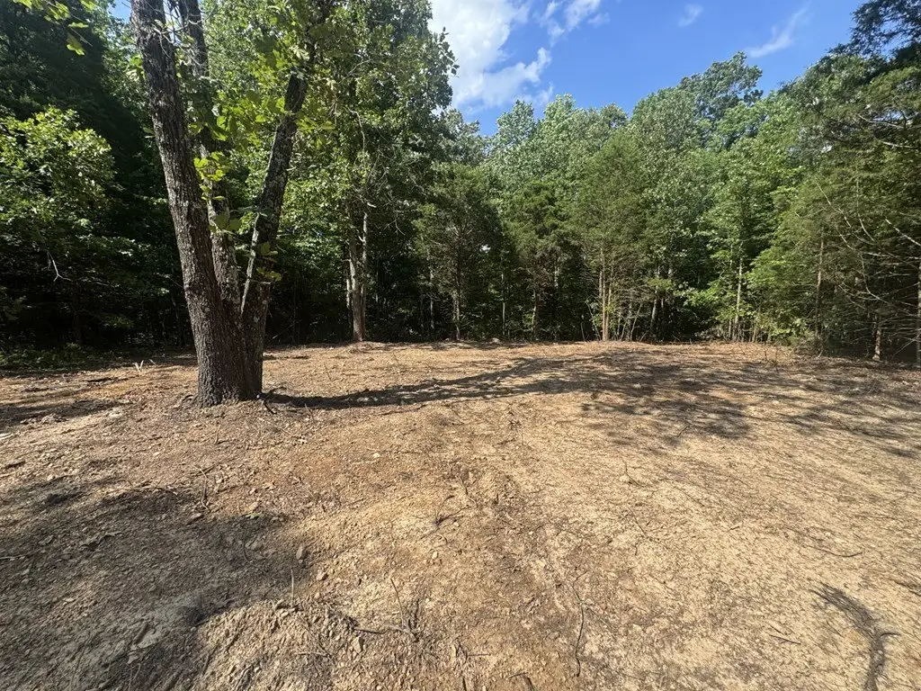 Picture 6