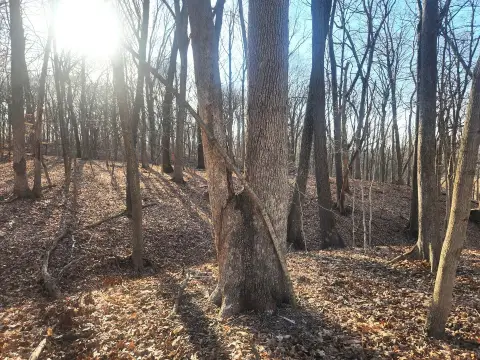 Recreational Land in Lake Wildwood