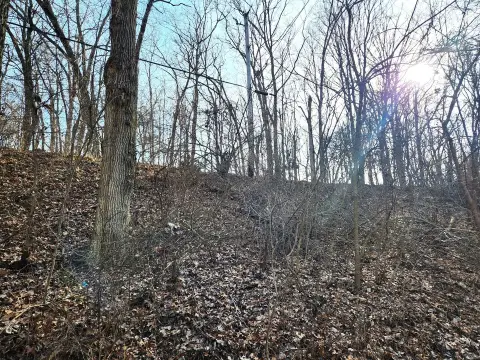 Recreational Land in Lake Wildwood