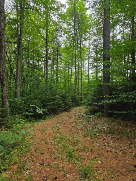 Picture 4